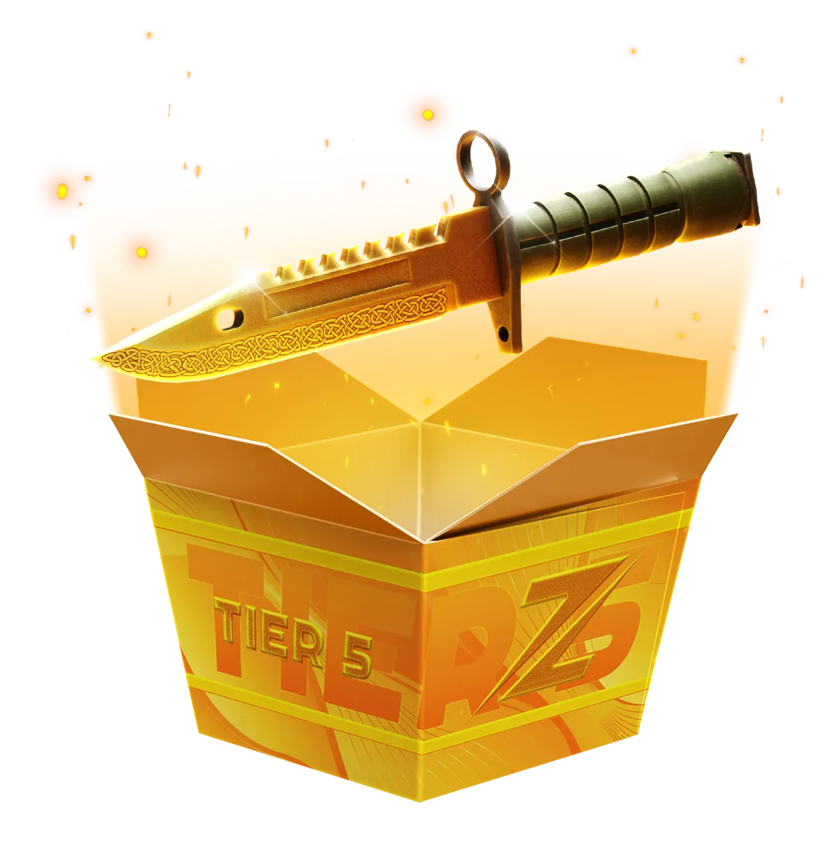 Tier 5 High Risk