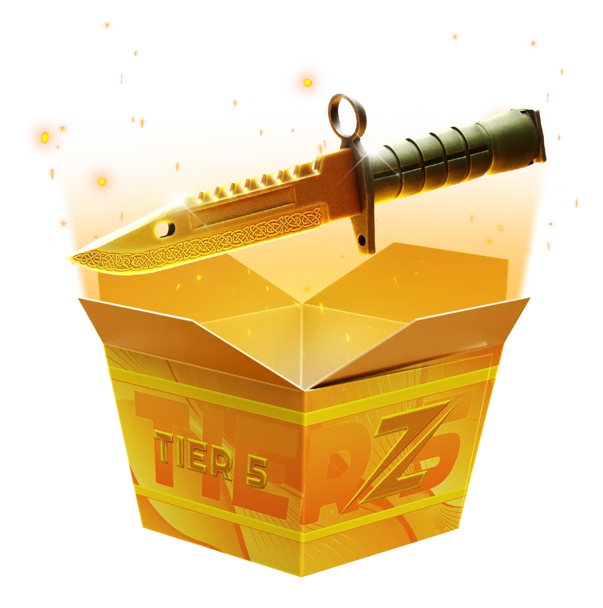 Tier 5 High Risk