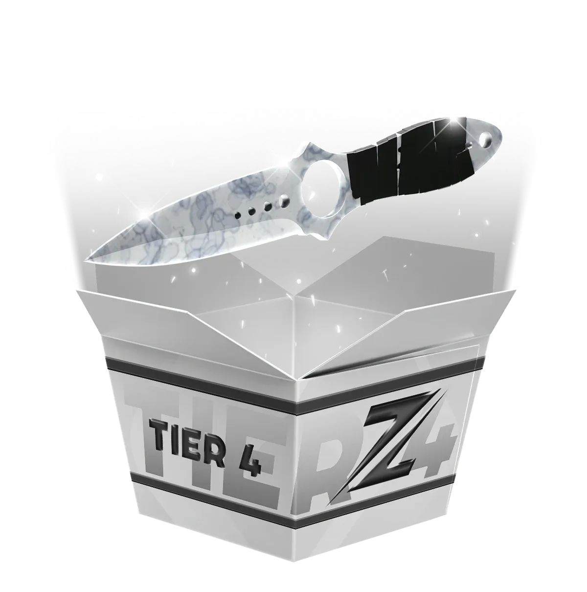Tier 4 High Risk